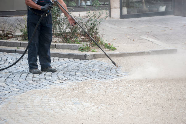 Best Spring Cleaning  in Benton Harbor, MI